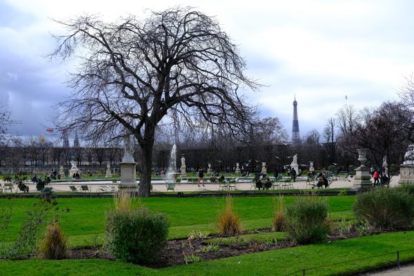 Le jardin des Tuileries en hiver dans le premier arrondissement de Paris