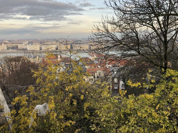 La vue depuis les hauteurs de Buda sur le Danube