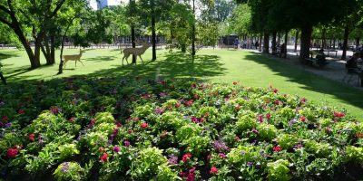 Les jolis jardins d'un espace vert parisien en été