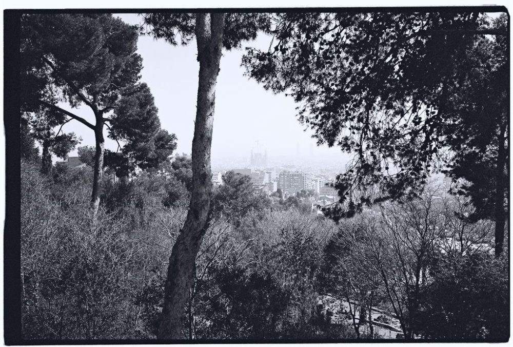 Une vue sur Barcelone à travers les arbres