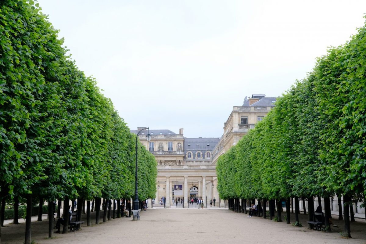 Une large allée du jardin du Palais Royal