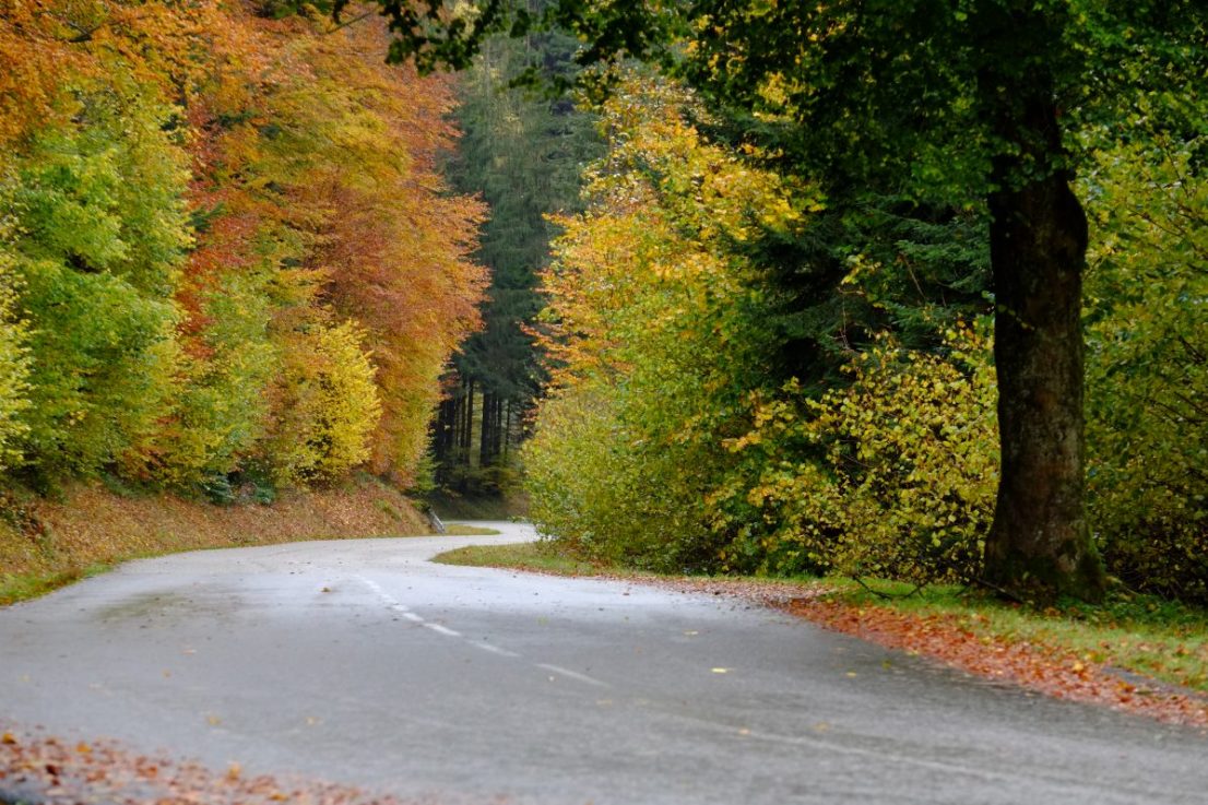 Les couleurs de l'automne dans le département des Vosges