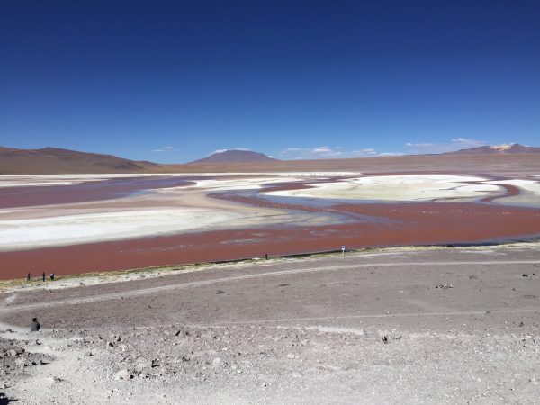 Les eaux rouges et le sel blanc de la Laguna Colorada