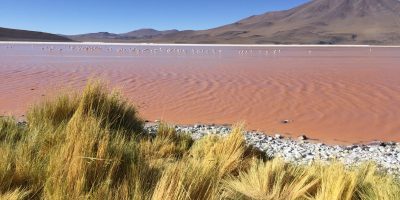 L'incroyable lagune colorée dans l'Altiplano bolivien