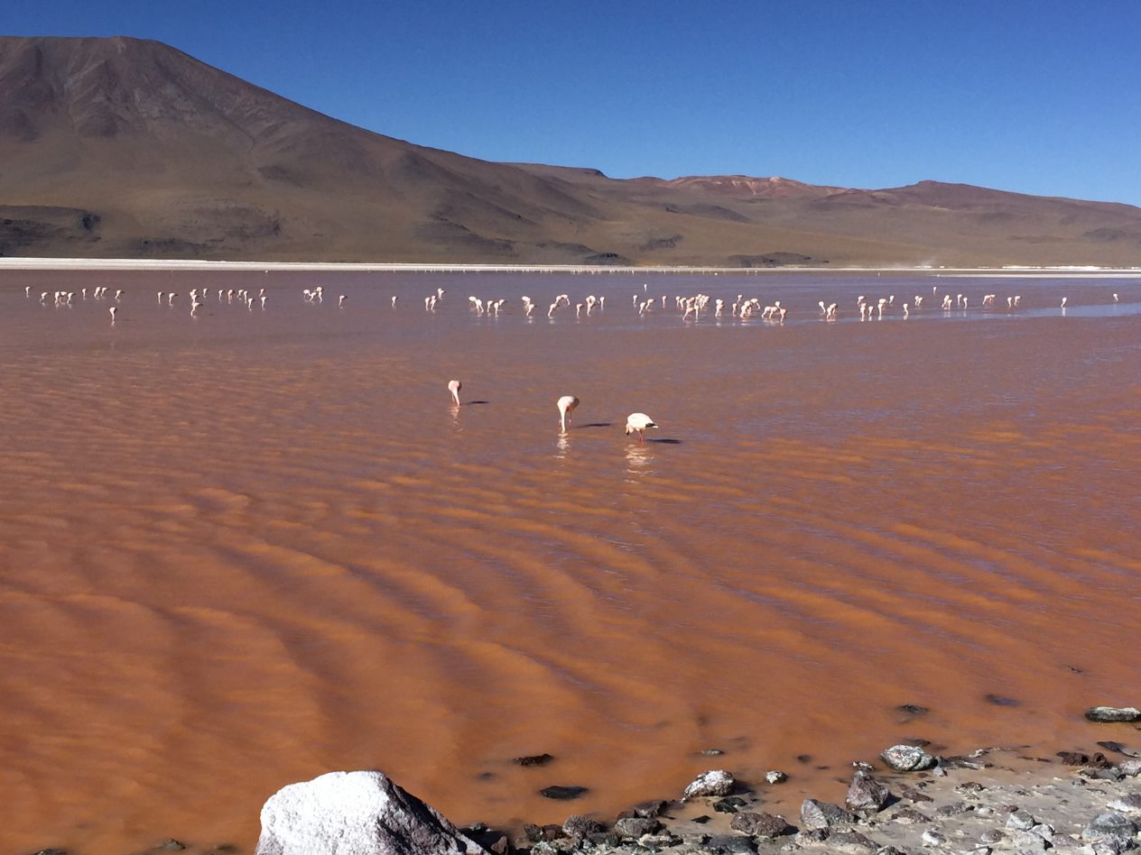 Même à 4000 mètres d'altitude d'immenses montagnes semblent encore émerger de l'Altiplano bolivien