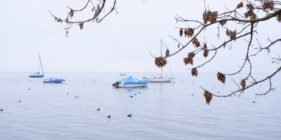 Le lac Léman dans la brume et en automne
