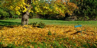 Un jour d'automne sous le soleil dans le bois de Vincennes