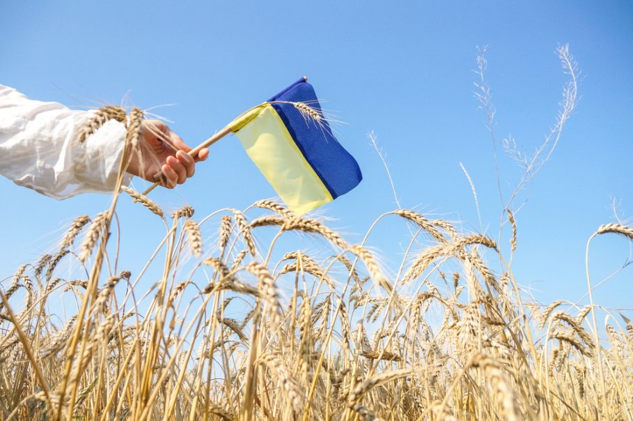 Image resource drapeau ukrainien