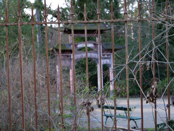 Le jardin tropical René Dumont, un lieu méconnu à Paris