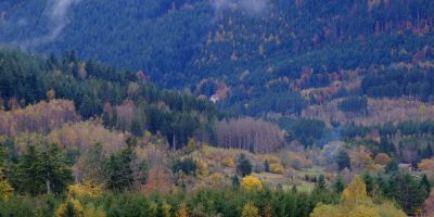 Voyage interdit dans les forêts maudites des Vosges
