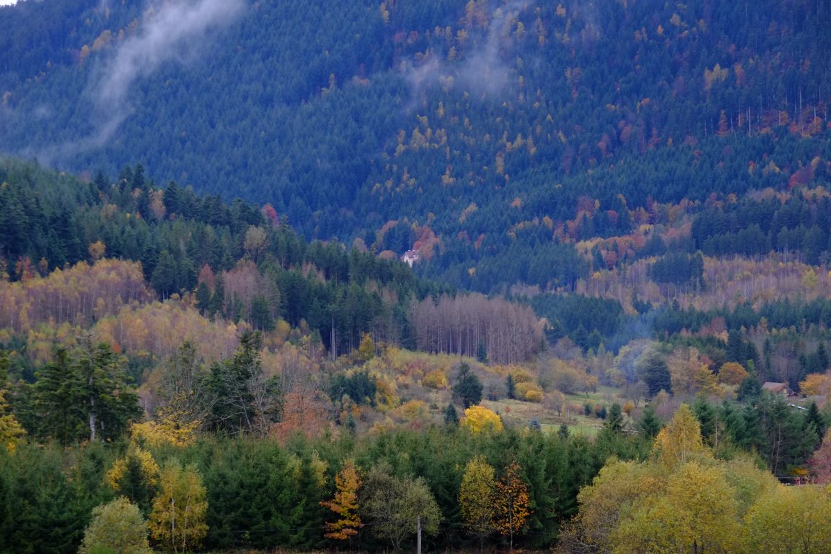 Voyage interdit dans les forêts maudites des Vosges