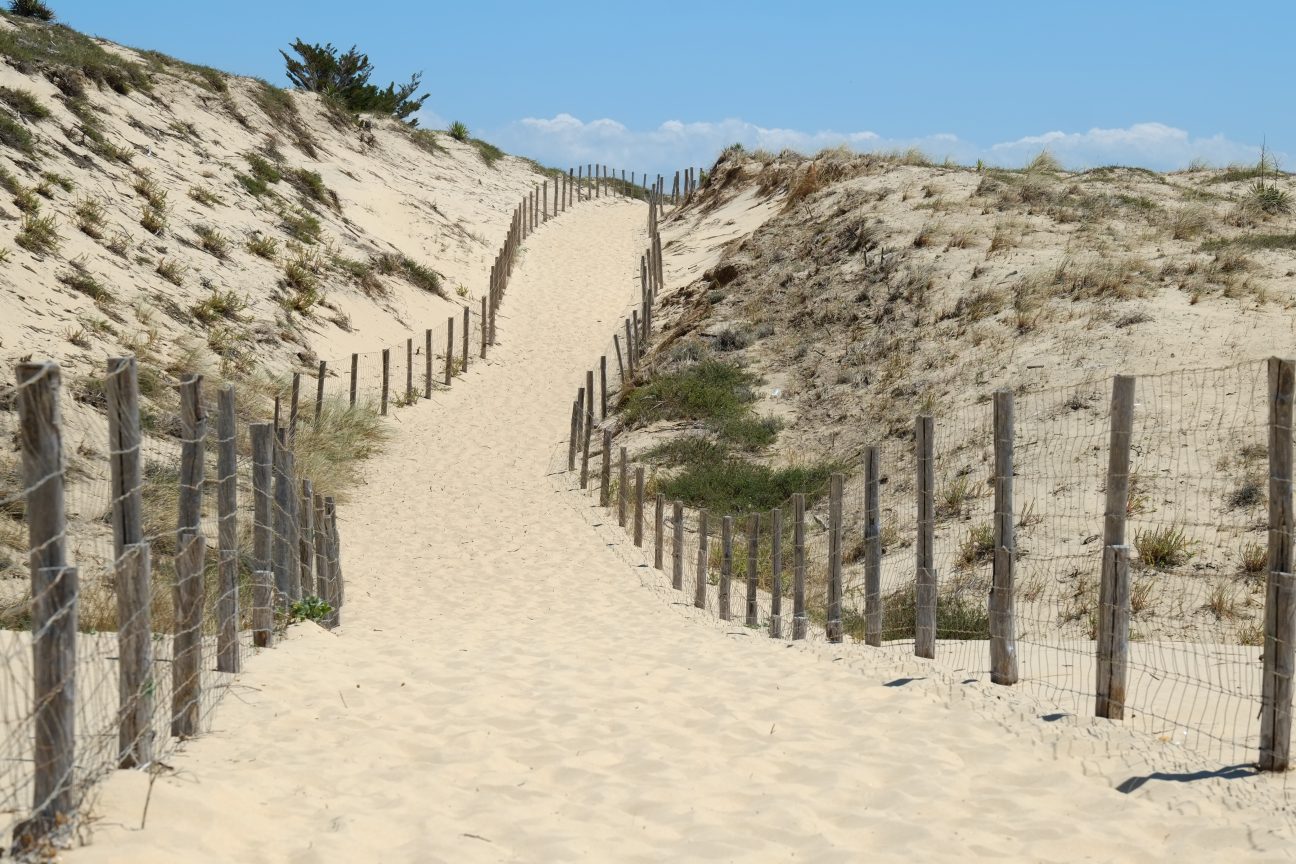 Les longs chemins de sable qui traversent les dunes