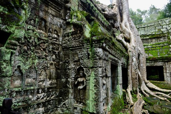 Au cœur du temple de Ta Prohm