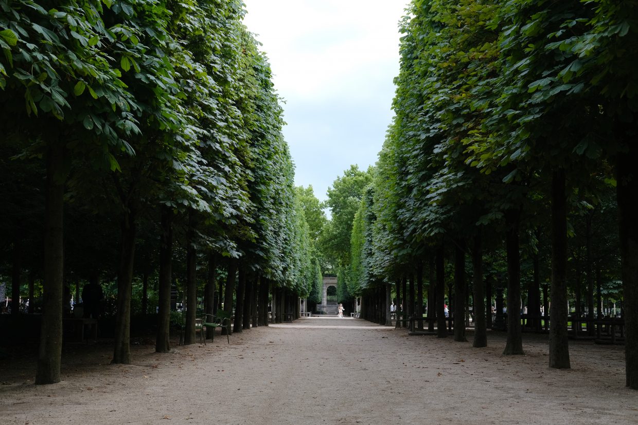 Dans les allées du jardin des Tuileries