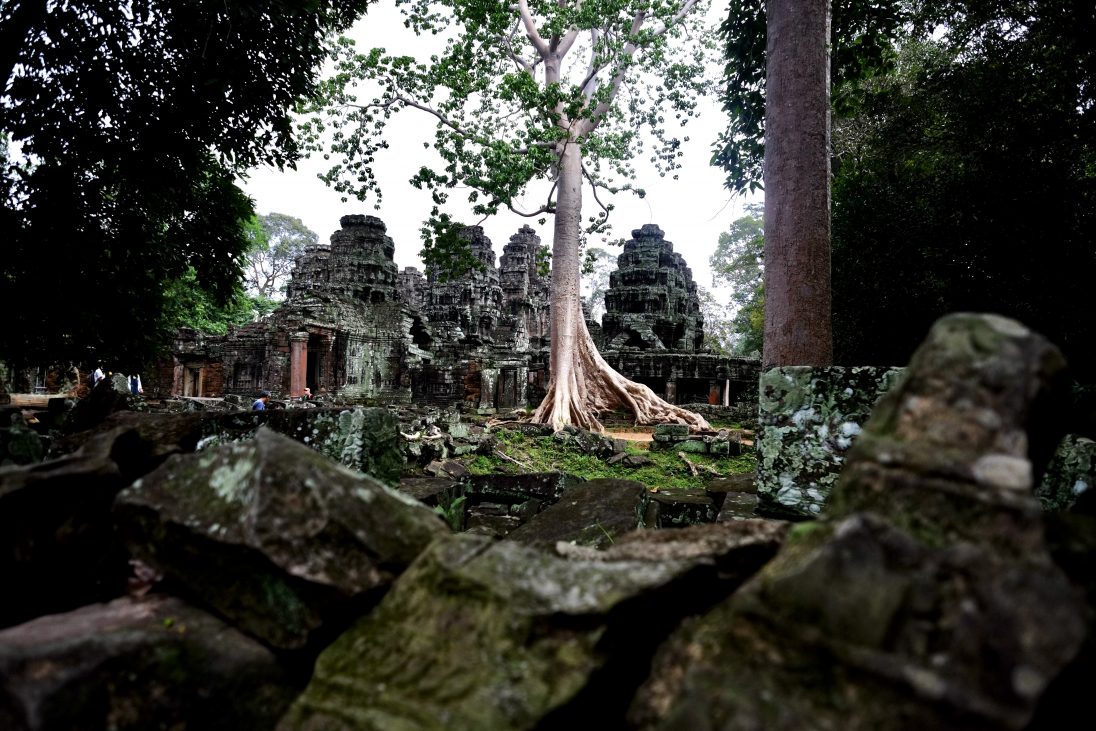 Un amas de pierre, au milieu de la forêt cambodgienne