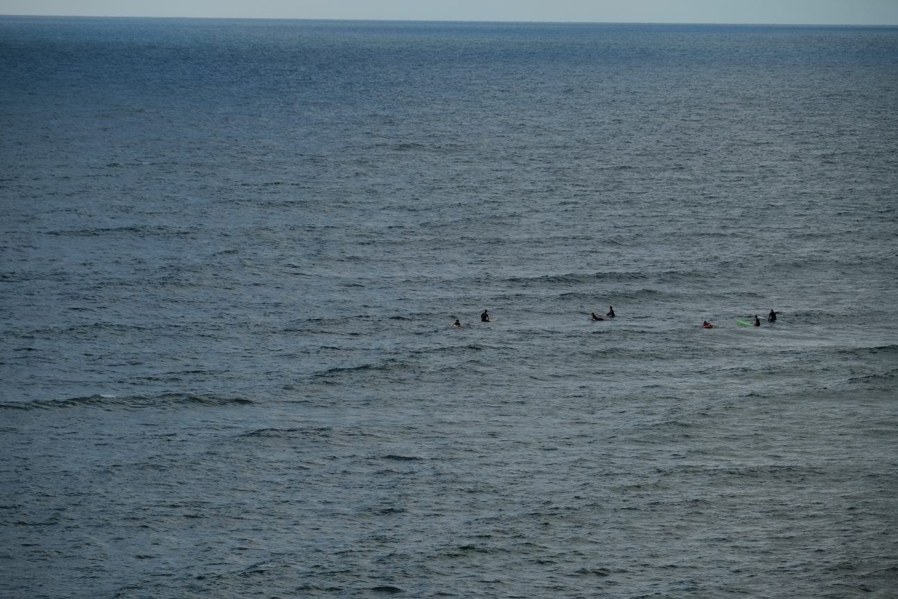Quelques surfers à Parlementia