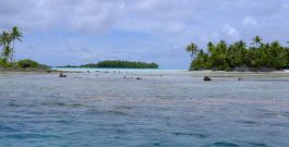 Le lagon secret de Rangiroa