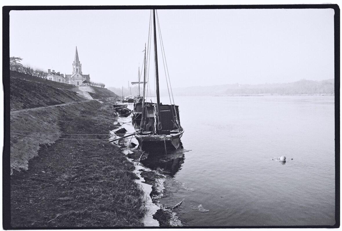 Les bords de Loire en hiver