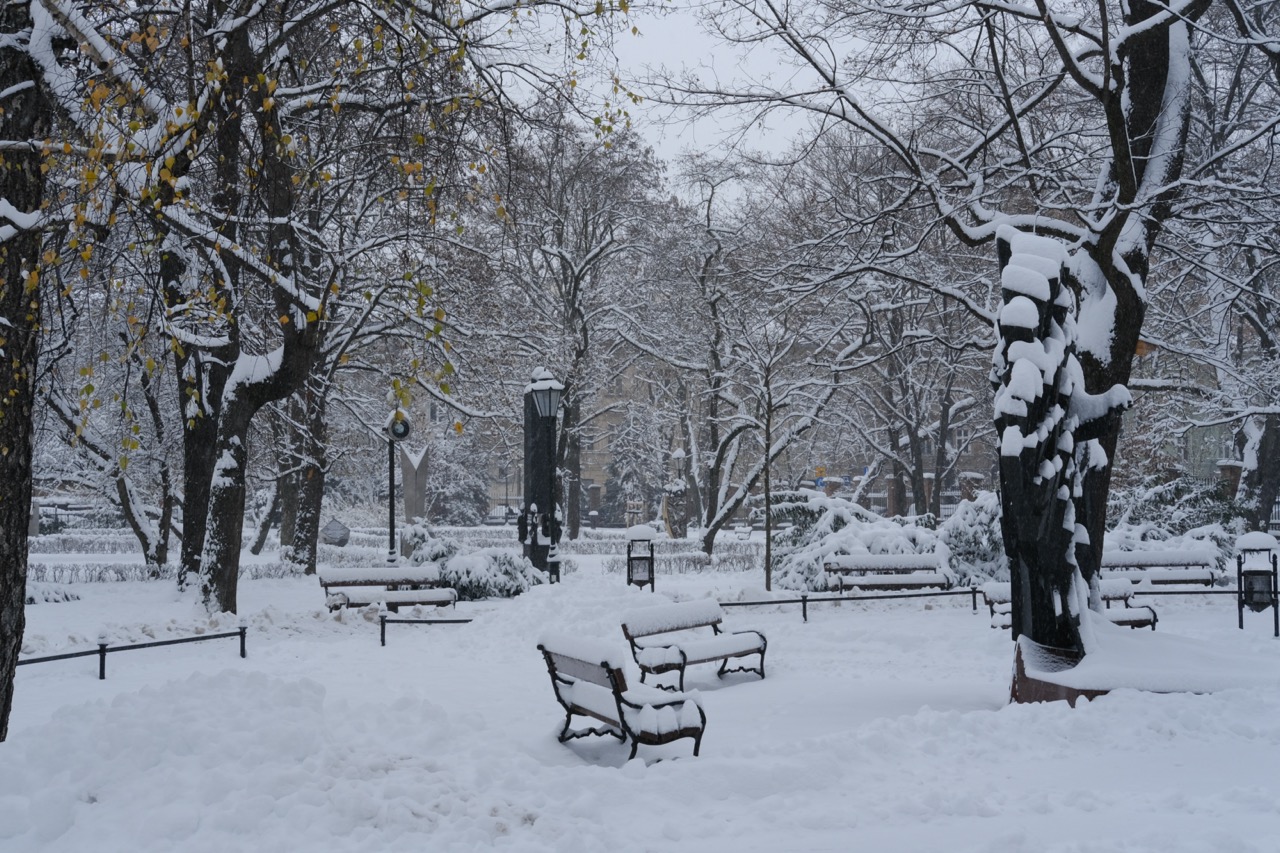 Un parc sous la neige à Cracovie