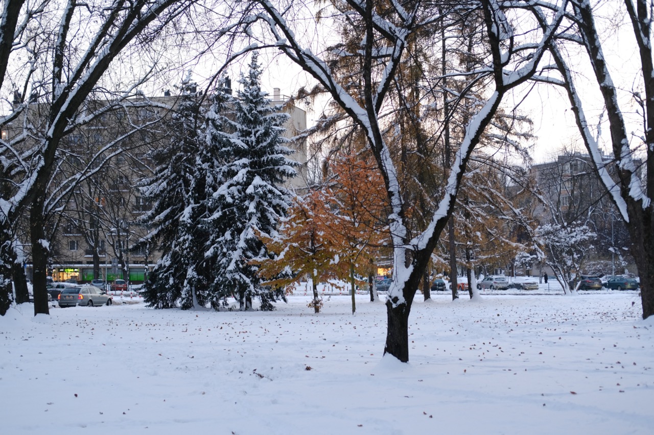 Un petit parc aux couleurs d'automne et sous la neige à Nowa Huta