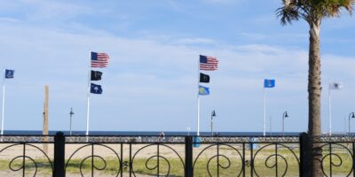 Un palmier et des drapeaux au bord de l'Atlantique