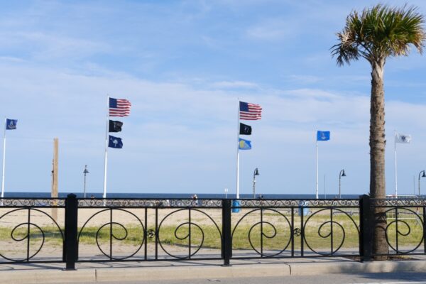 Un palmier et des drapeaux au bord de l'Atlantique