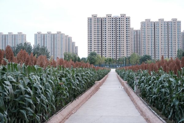 Minimalism picture in Zhengzhou - China