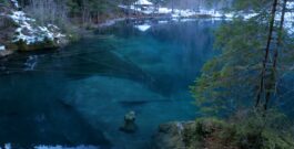 Blausee, un lac de montagne suisse hors du commun