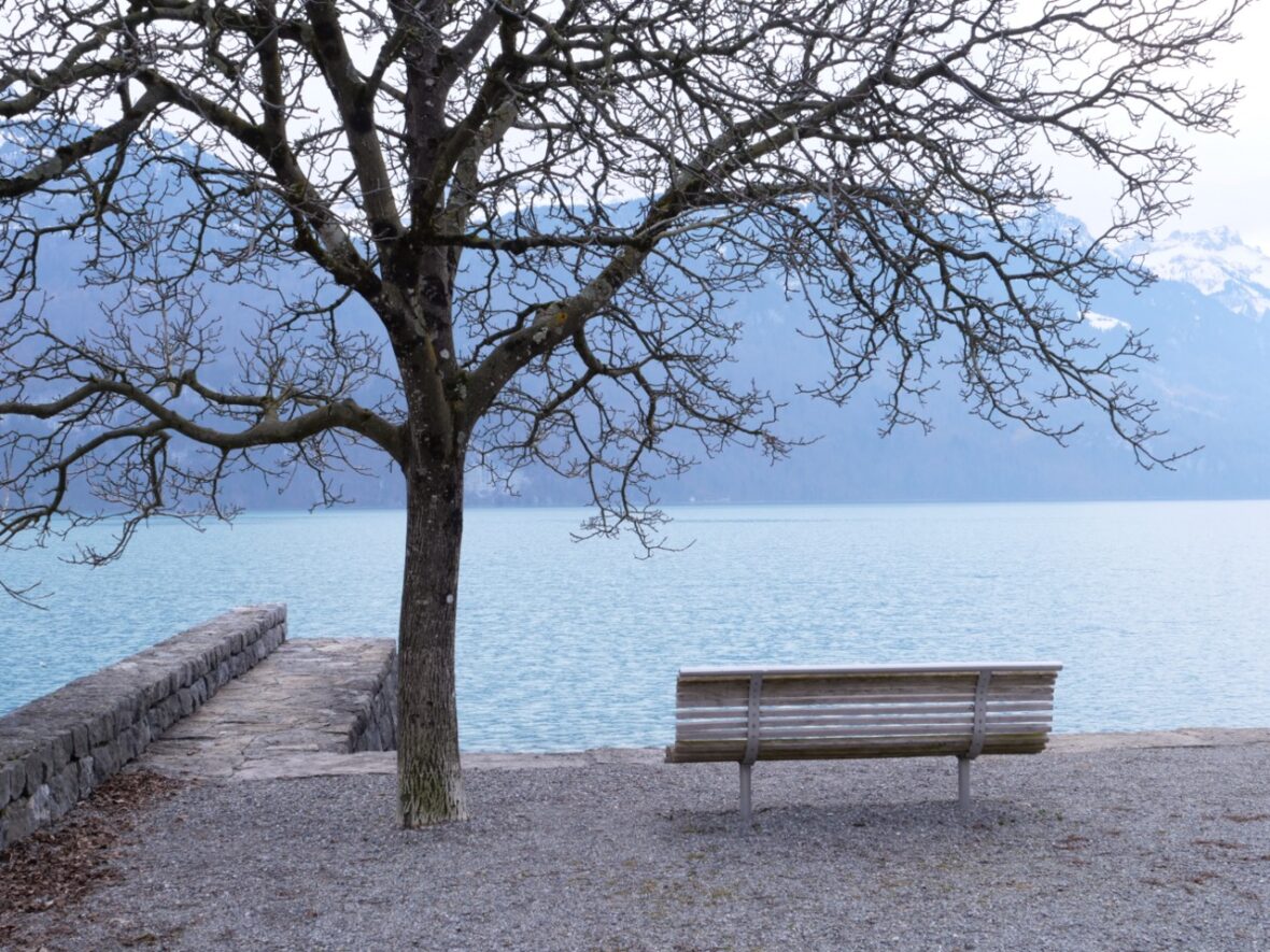 Brienz et son lac en hiver Brienz et son lac en hiver