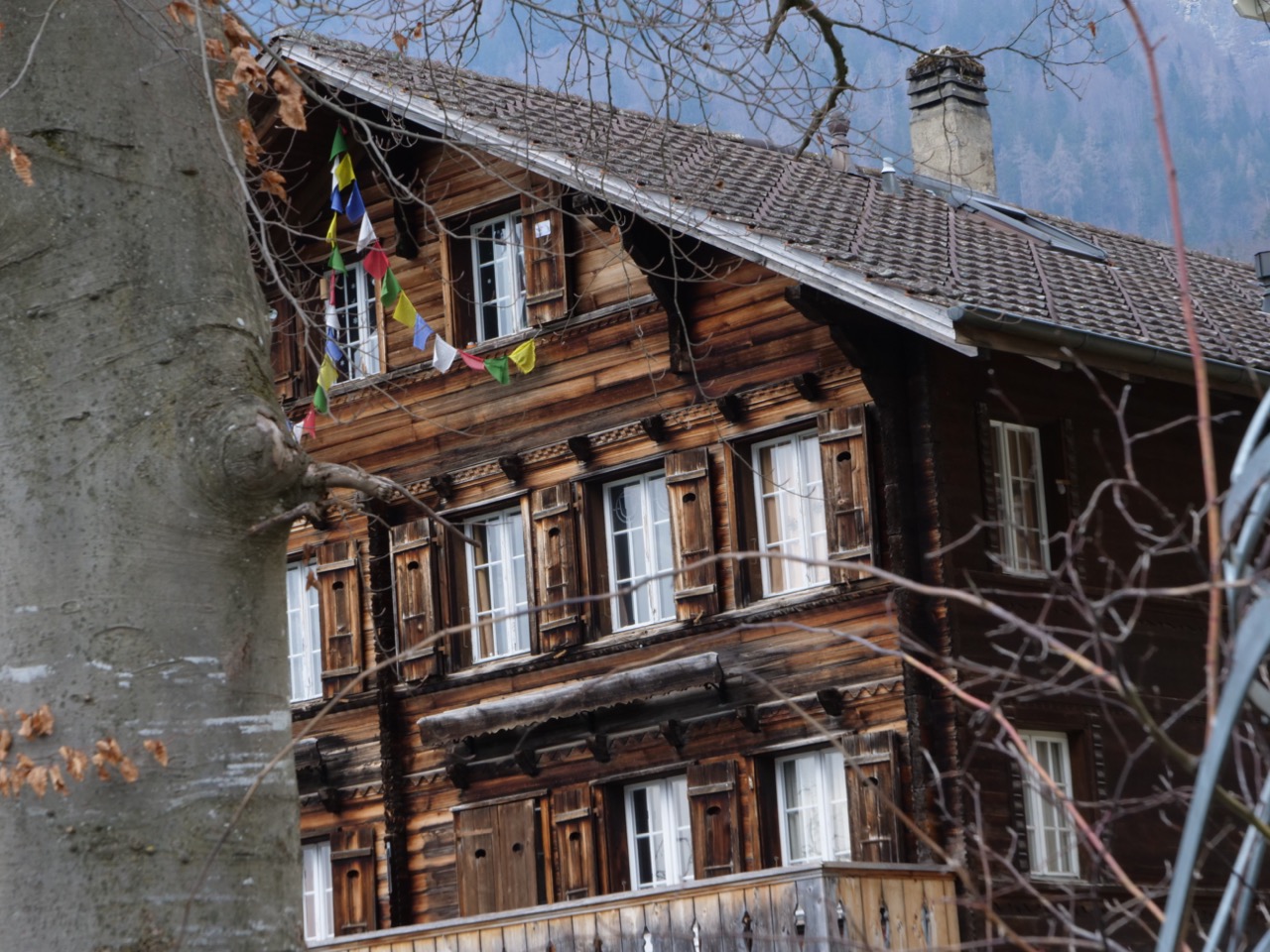 Un immense chalet face au lac de Brienz Un immense chalet face au lac de Brienz